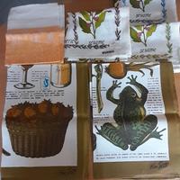 Strofinacci vintage lino e cotone