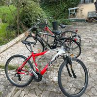 MTB per bimbo / ragazzo / uomo / donna