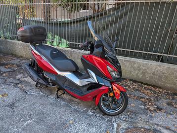 CRUISYM 300