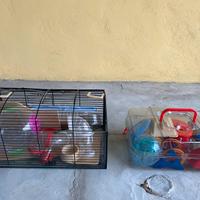 Gabbia e accessori per criceti