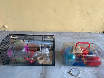 Gabbia e accessori per criceti