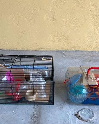 Gabbia e accessori per criceti
