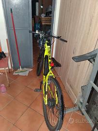 bicicletta elettrica 