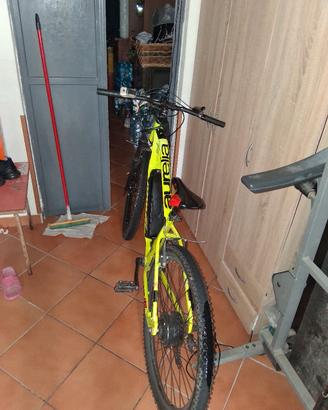 bicicletta elettrica 