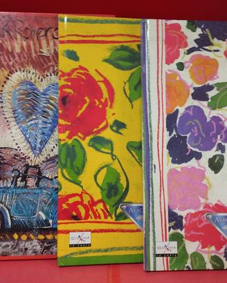 3 quadernoni rigatura B  con copertina rigida