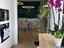 Immagine 28