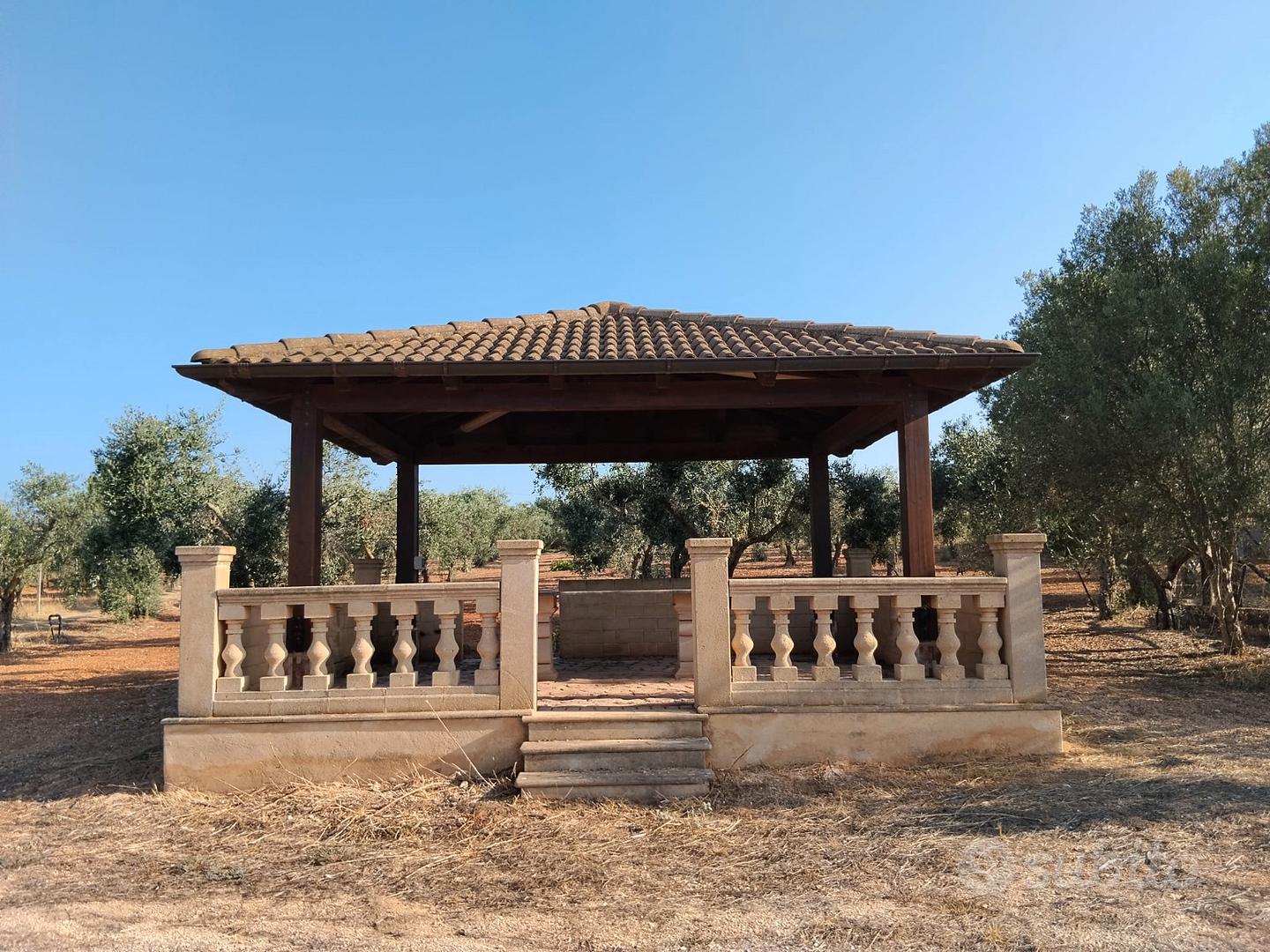 Terreno edificabile con uliveto - Vista 2