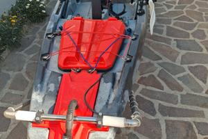 Kayak