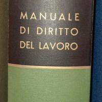 Manuale di diritto del lavoro (autore Mazzoni G.)