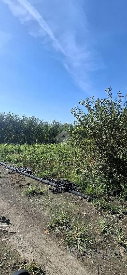 TER. AGRICOLO A NOCERA INFERIORE - Altro