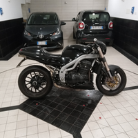 Giumenta da monta - Daytona 955i custom
