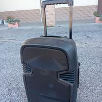 Cassa attiva amplificata trolley portatile