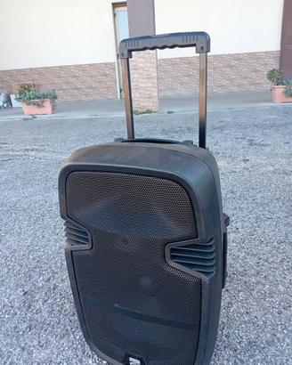 Cassa attiva amplificata trolley portatile