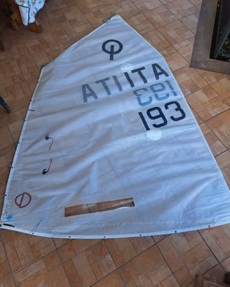 Vela CD Medium per Optimist + vela North Sails in
