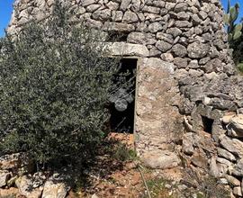 TER. AGRICOLO A TAVIANO