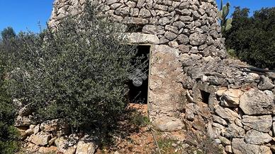 TER. AGRICOLO A TAVIANO