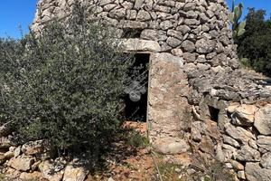 TER. AGRICOLO A TAVIANO