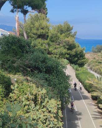Bilocale Indipendente fronte mare mensile