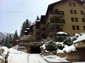 Pinzolo Trilocale Mansardato 6 posti letto