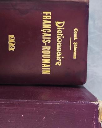 dizionario francese rumeno