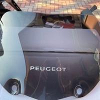 Cupolino basso Peugeot