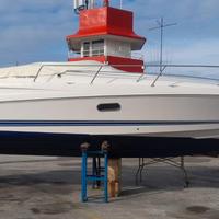 Tullio Abbate Spring