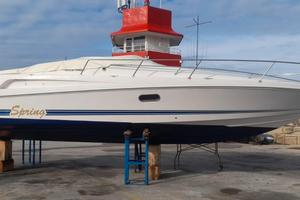 Tullio Abbate Spring