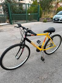 Bici mountain bike