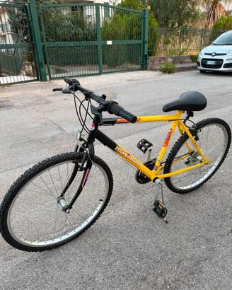 Bici mountain bike