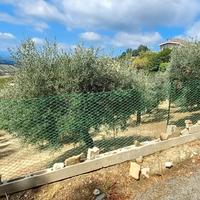 Terreno agricolo con rimessa