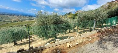 Terreno agricolo con rimessa