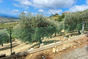 Terreno agricolo con rimessa