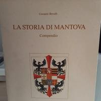 STORIA DI MANTOVA