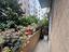 Immagine 27