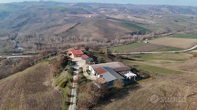 Azienda Agricola a Sangiorgio Chiavi in Mano