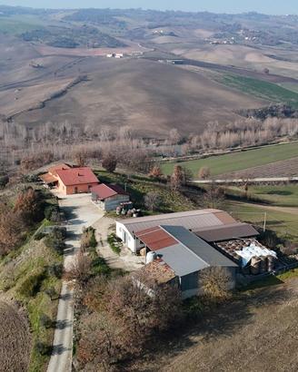 Azienda Agricola a Sangiorgio Chiavi in Mano