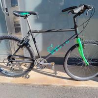 Marin California e Giant REVISIONATE