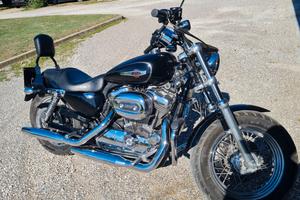 Harley Davidson Sportster XL 1200 C custom