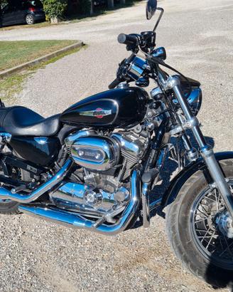 Harley Davidson Sportster XL 1200 C custom