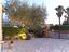 Immagine 6