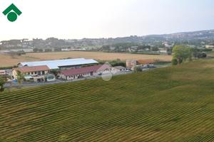 TER. AGRICOLO A ARICCIA