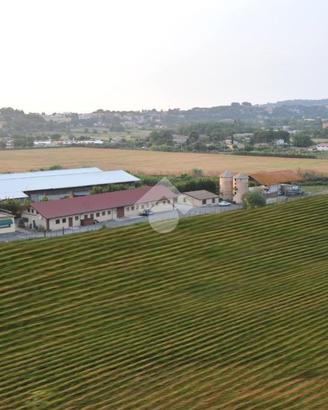 TER. AGRICOLO A ARICCIA