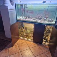 Acquario marino 300l