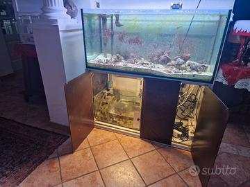 Acquario marino 300l