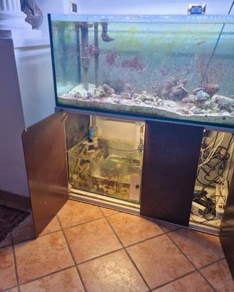 Acquario marino 300l