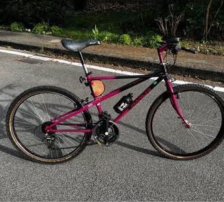 Mtb Bianchi Thomisus originale