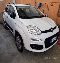 Panda