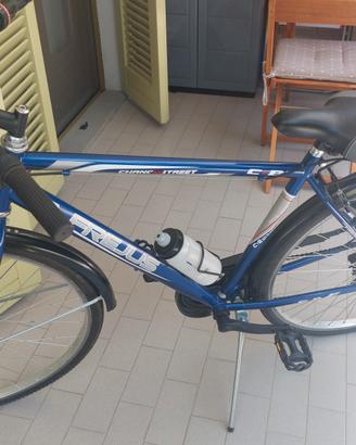 Bicicletta Freus