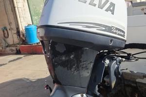 MOTORE SELVA 115HP USATO
