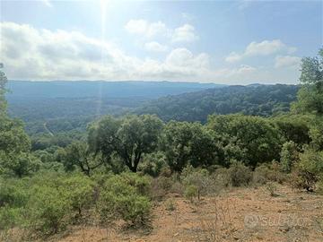 Terreno di 12000 m² a Monti